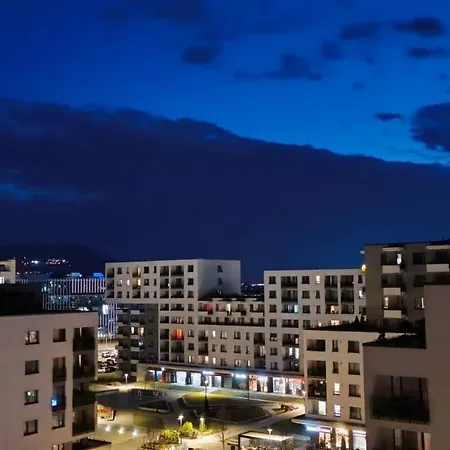 Delulu Homes Coresi