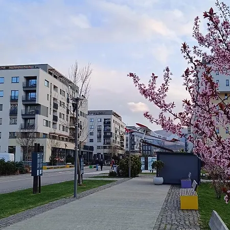 Apartament Delulu Homes Coresi *
